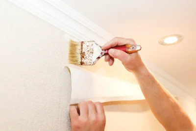 Pose de papier peint au Buisson — revêtements muraux et toiles de verre